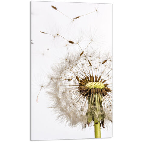 TABLA DE CORTAR DE VIDRIO 30x52 Flor