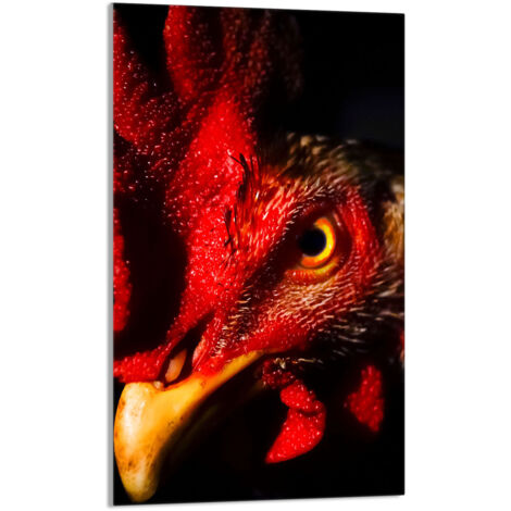 TABLA DE CORTAR DE VIDRIO 30x52 Gallo