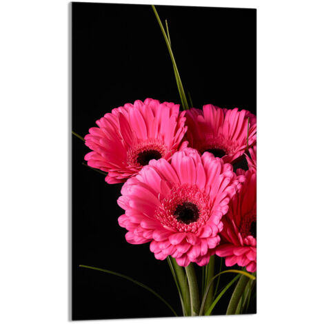 Tabla de cortar de vidrio 30x52 Gerbera