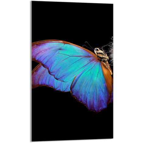TABLA DE CORTAR DE VIDRIO 30x52 Mariposa