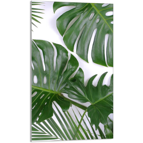 Tabla de cortar de vidrio 30x52 Monstera