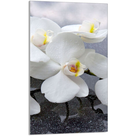 TABLA DE CORTAR DE VIDRIO 30x52 Orquídea