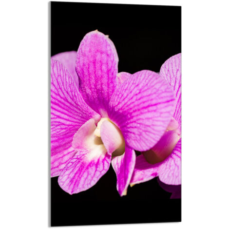 TABLA DE CORTAR DE VIDRIO 30x52 Orquídea