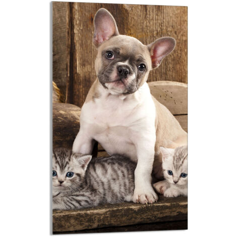 Tabla de cortar de vidrio 30x52 Perro