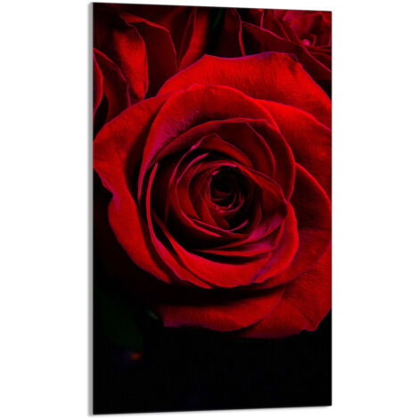 Tabla de cortar de vidrio 30x52 rosa