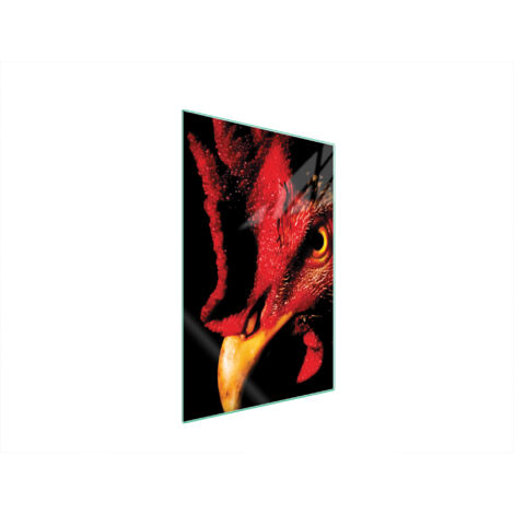 TABLA DE CORTAR DE VIDRIO 35x52 GALLO