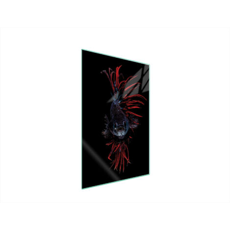 TABLA DE CORTAR DE VIDRIO 35x52 PESCADO