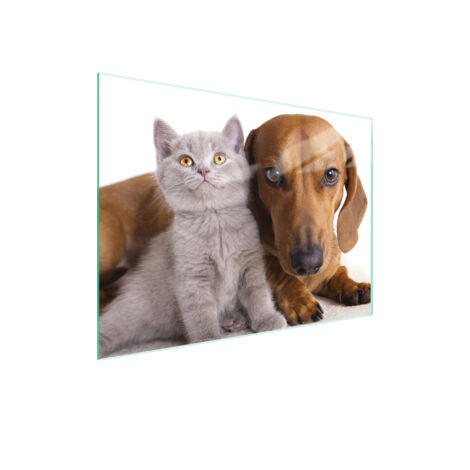 TABLA DE CORTAR DE VIDRIO 40x30 ANIMALES