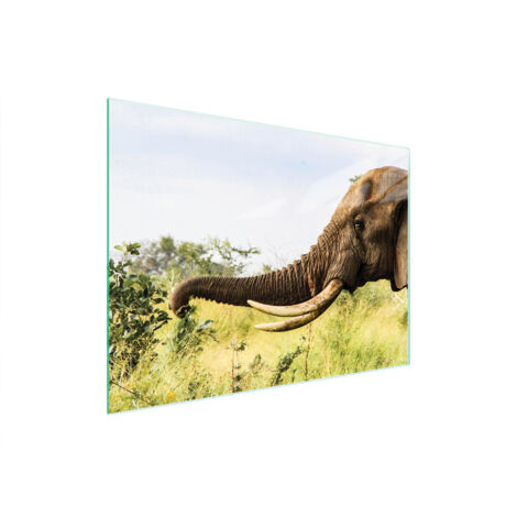 TABLA DE CORTAR DE VIDRIO 40x30 ELEFANTE