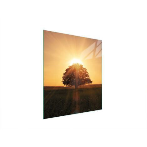 TABLA DE CORTAR DE VIDRIO 45x52 ÁRBOL