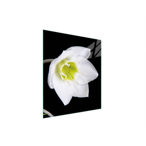 TABLA DE CORTAR DE VIDRIO 45x52 ORQUÍDEA