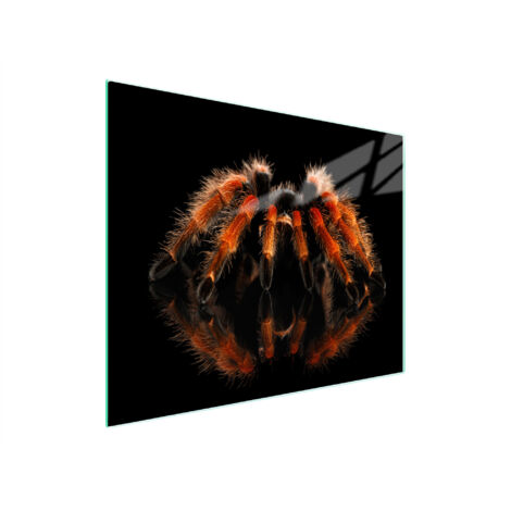 TABLA DE CORTAR DE VIDRIO 52x30 ARAÑA