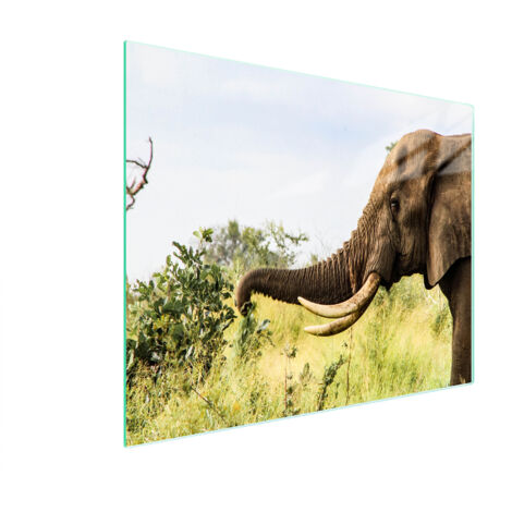 TABLA DE CORTAR DE VIDRIO 52x30 ELEFANTE