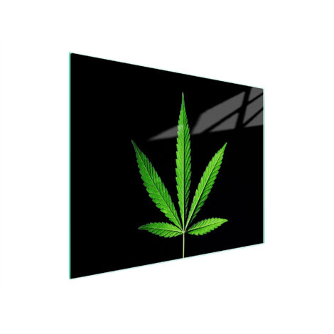 TABLA DE CORTAR DE VIDRIO 52x30 HOJAS