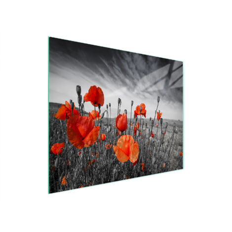 TABLA DE CORTAR DE VIDRIO 52x30 MAKI