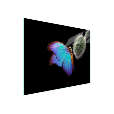 TABLA DE CORTAR DE VIDRIO 52x30 MARIPOSA