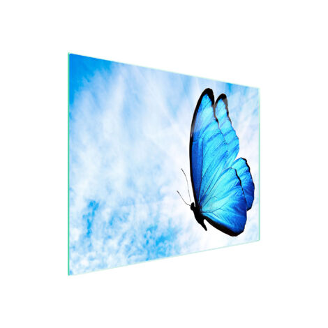 TABLA DE CORTAR DE VIDRIO 52x30 MARIPOSA