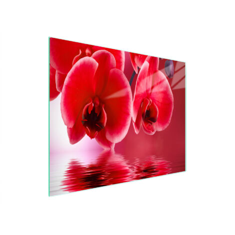 TABLA DE CORTAR DE VIDRIO 52x30 ORQUÍDEA