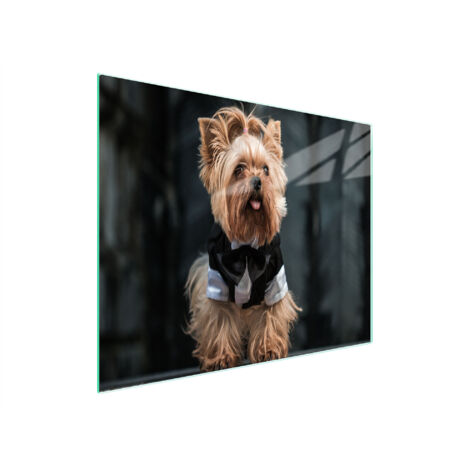 TABLA DE CORTAR DE VIDRIO 52x30 PERRO