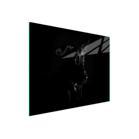 TABLA DE CORTAR DE VIDRIO 52x30 PERRO