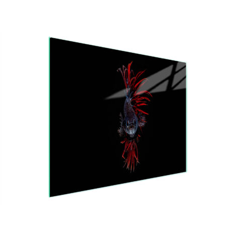 TABLA DE CORTAR DE VIDRIO 52x30 PESCADO