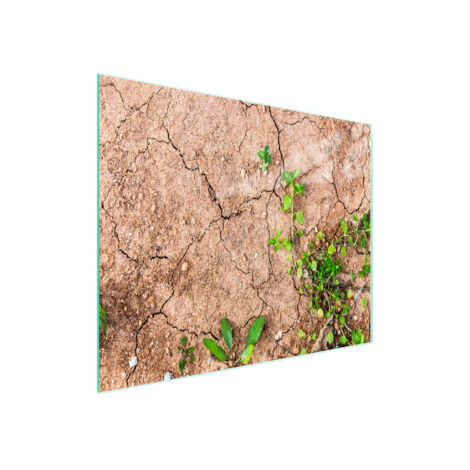 TABLA DE CORTAR DE VIDRIO 52x30 PLANTAS