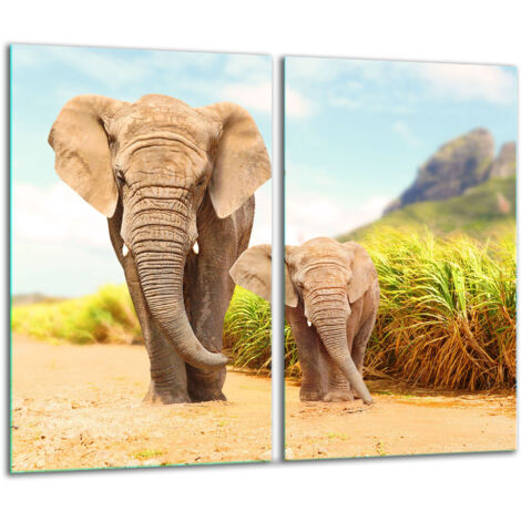 Tabla de corte de vidrio 2x 30x52 Elefante