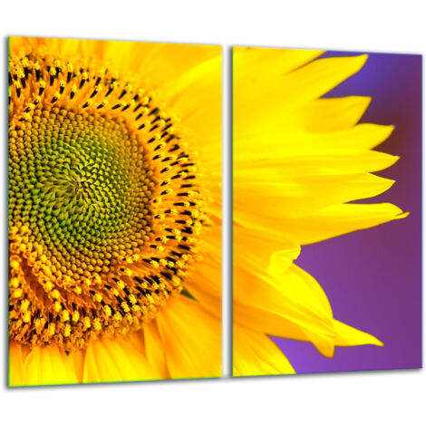 Tabla de corte de vidrio 2x 30x52 flor