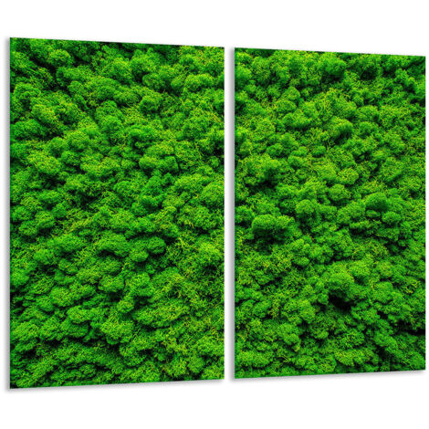Tabla de corte de vidrio 2x 30x52 verde