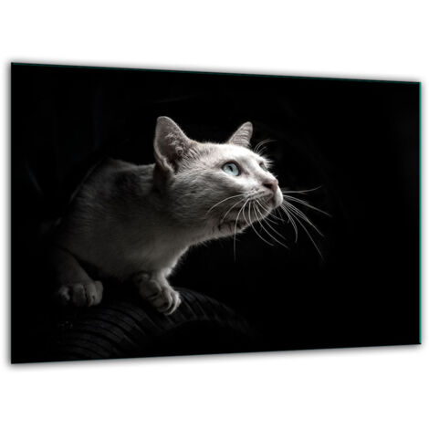 Tabla de corte de vidrio templado 30x22 gato