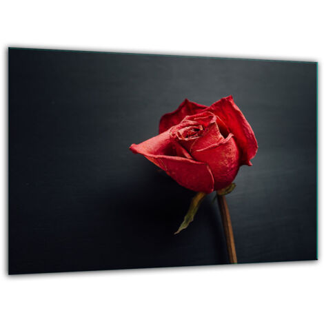 Tabla de corte de vidrio templado 30x22 rosa