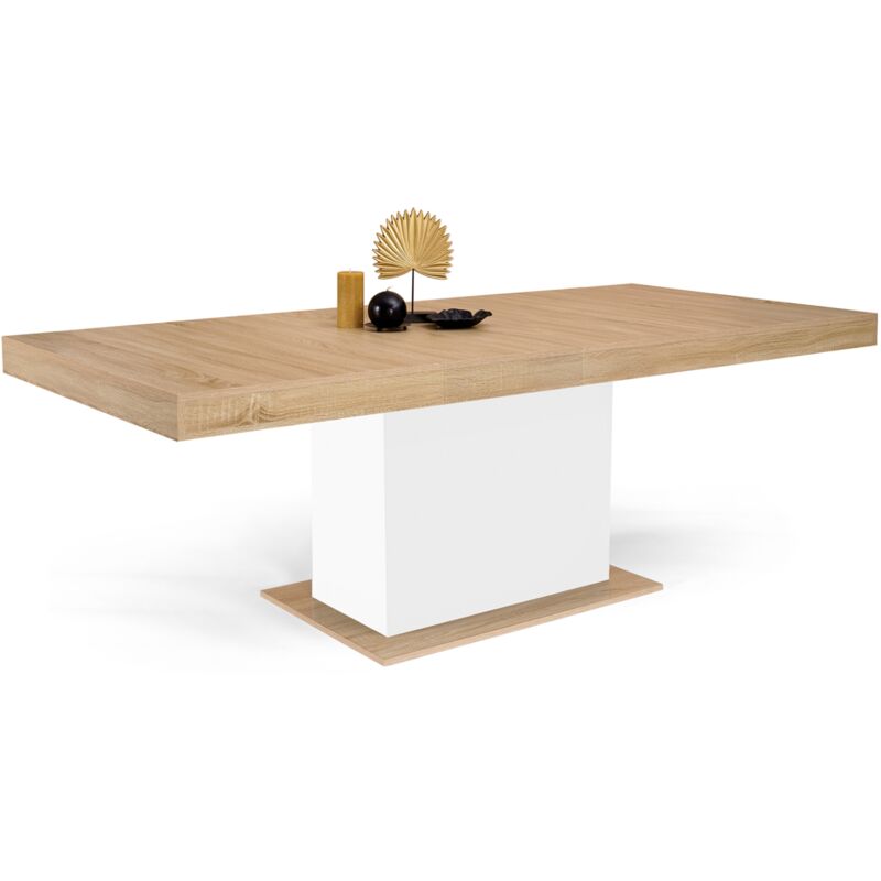Idmarket - Table à manger extensible rectangle eden 6-10 personnes bois