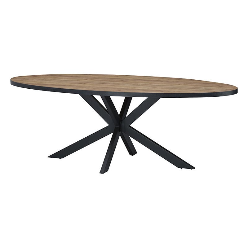 Table à manger 220 x 110 cm ovale pieds étoile Lio