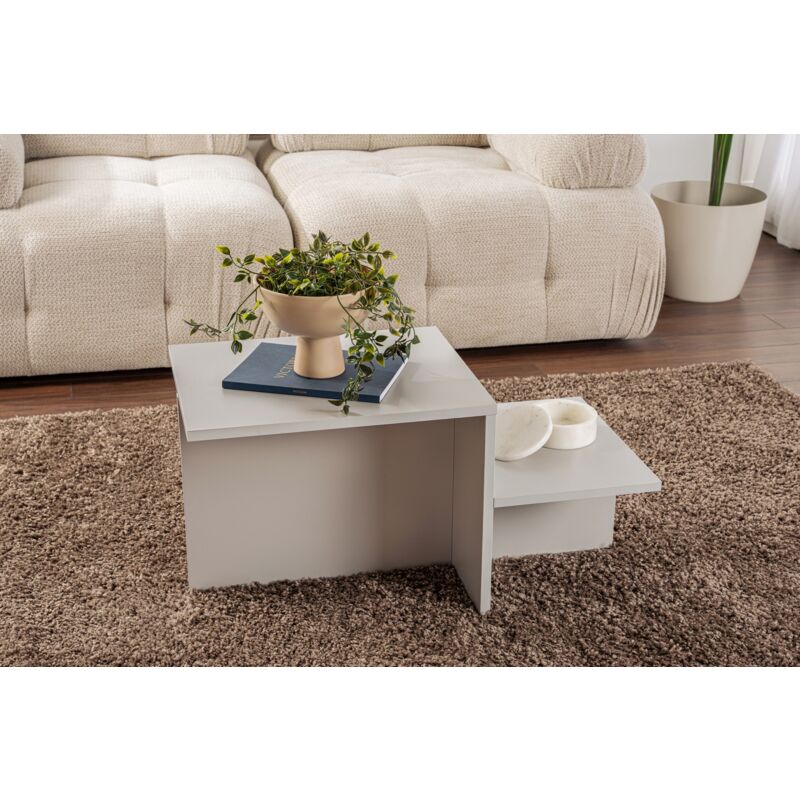 Table Basse en Gris, 40x80x40 cm, Pour la Maison