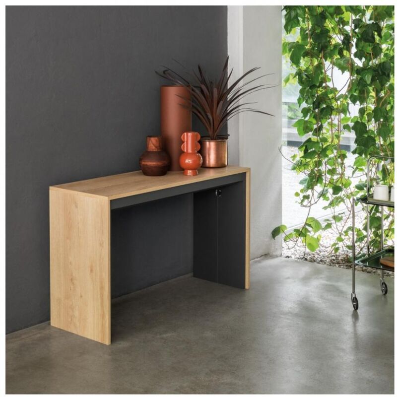 Inside75 - Table console extensible 12 couverts leonardo 45/270x120x75cm coloris chêne gris ardoise