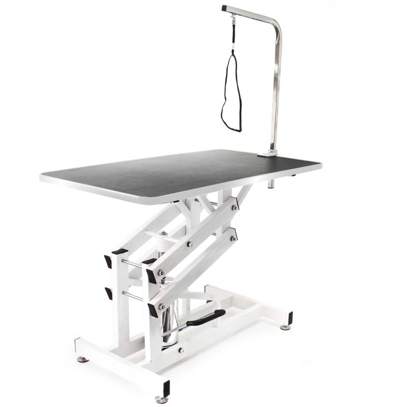 Fudajo - Table de toilettage Hydraulique pliable Table de soins pour Chiens et Chats