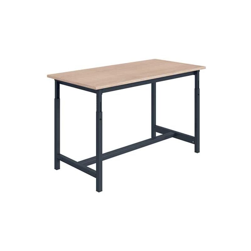 Matisère - tabli pour atelier réglable en hauteur - 1500x750x780/1060mm - Gris RAL7035 - W010020244-GC