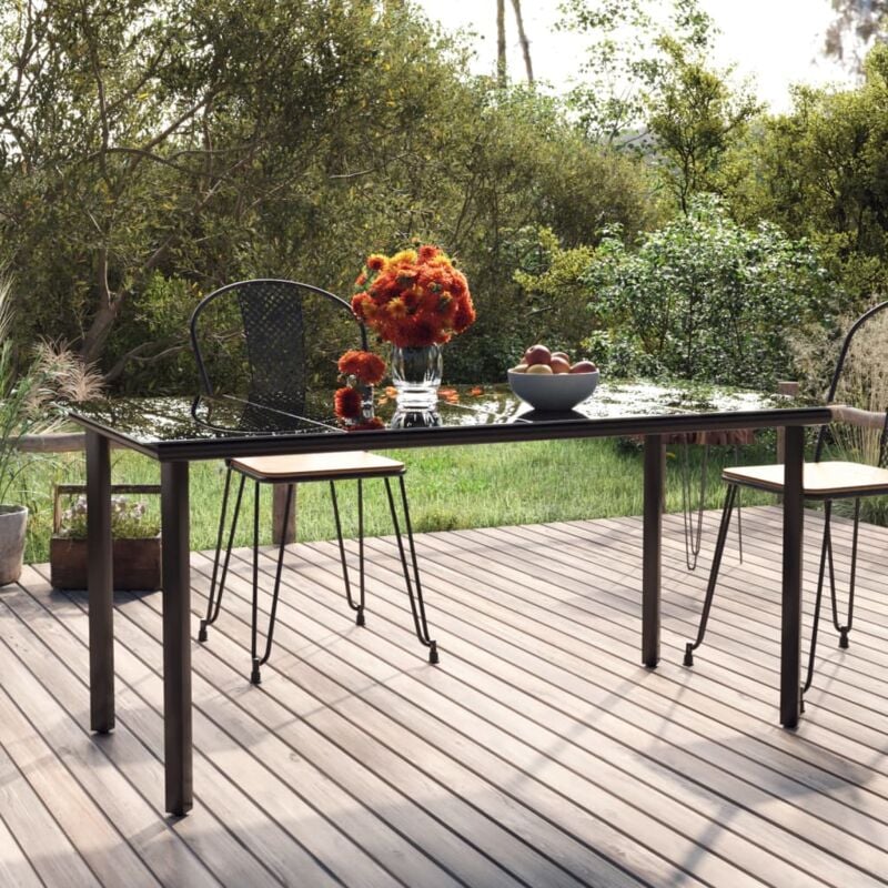Vidaxl - Table à dîner de jardin Noir 160x80x74 cm Acier et verre trempé