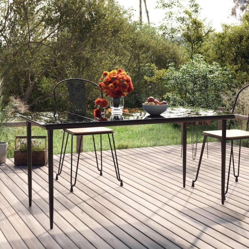 Vidaxl - Table à dîner de jardin Noir 160x80x74 cm Acier et verre trempé