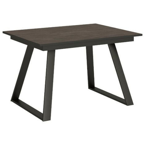 Table rectangulaire extensible 6 à 10 personnes L 160 à 220 cm bois foncé et métal anthracite Bareni