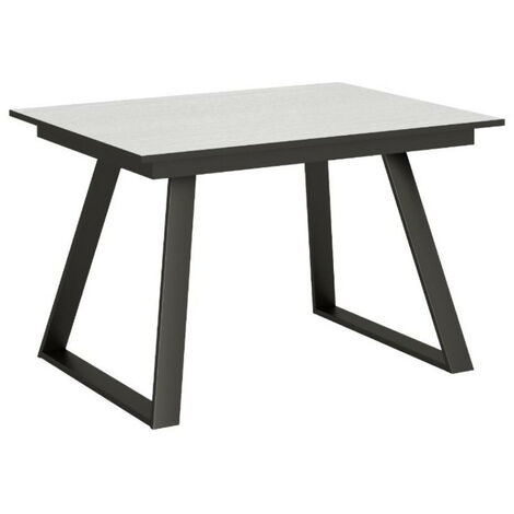 Table rectangulaire extensible 6 à 10 personnes L 160 à 220 cm frêne blanc et métal anthracite Bareni