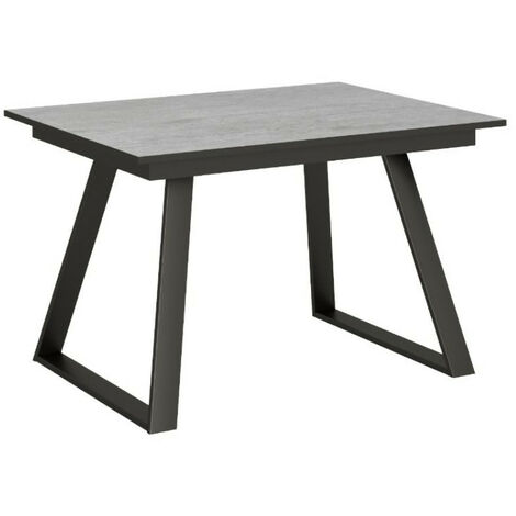 Table rectangulaire extensible 6 à 10 personnes L 160 à 220 cm gris béton et métal anthracite Bareni