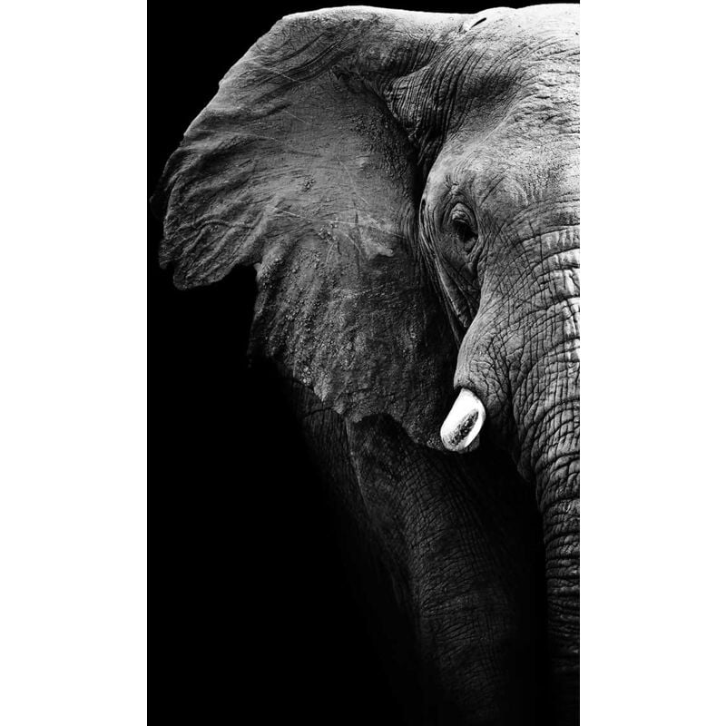 Hxadeco - Tableau animaux portrait artistique elephant noir et blanc - 50x80 cm