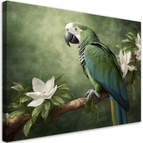Tableau déco Animaux perroquet oiseau 90x60