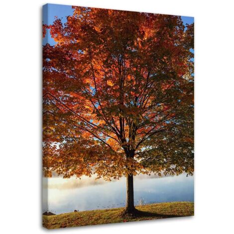 Tableau déco Arbre Automne Feuilles 40x60