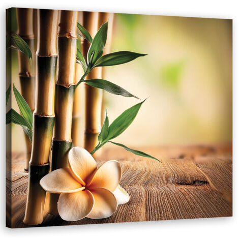 Tableau déco Bambou Fleurs zen 30x30