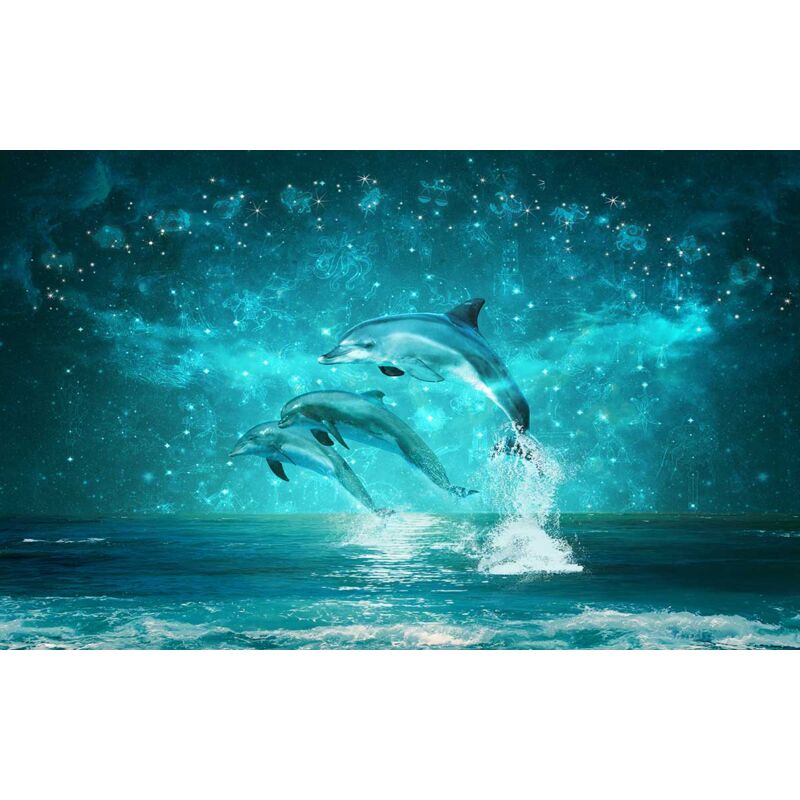 Hxadeco - Tableau deco dauphins astro - 80x50 cm