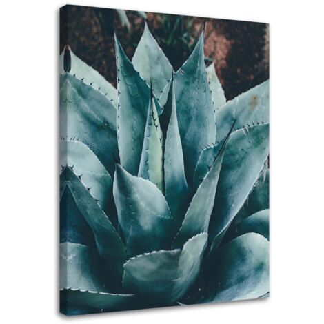 Tableau déco Fleur succulente Feuilles 70x100