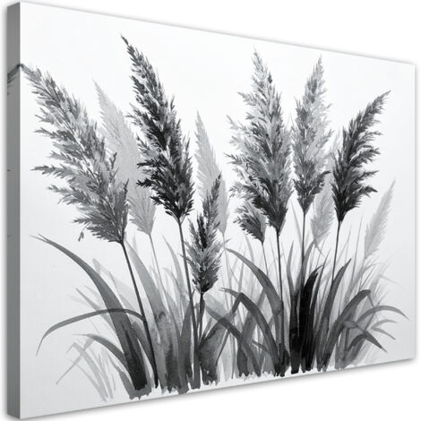 Tableau déco Herbe de la pampa 60x40