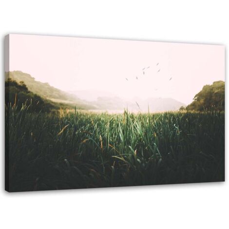 Tableau déco Herbe Oiseaux Montagne Vert 60x40